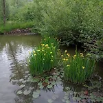 Hortensjowe Zacisze Apartament