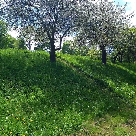 Hortensjowe Zacisze