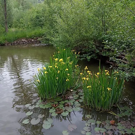 Hortensjowe Zacisze Апартаменты