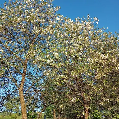 Hortensjowe Zacisze Апартаменты Woliborz