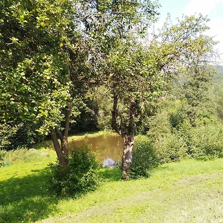 Apartment Hortensjowe Zacisze *