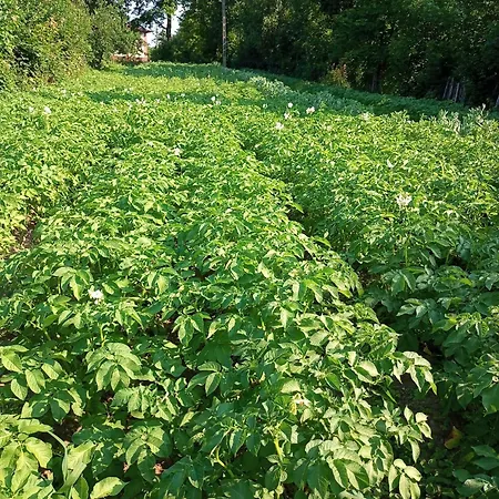 Hortensjowe Zacisze Апартаменты Woliborz
