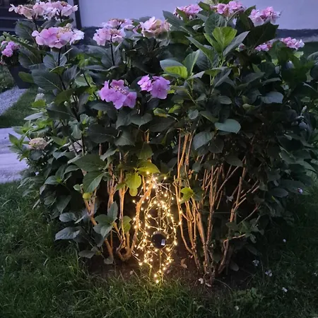 Hortensjowe Zacisze Апартаменты