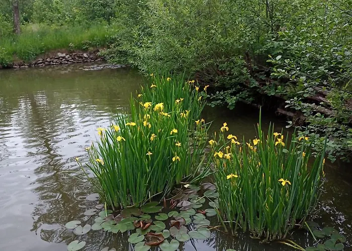 Hortensjowe Zacisze Appartamento