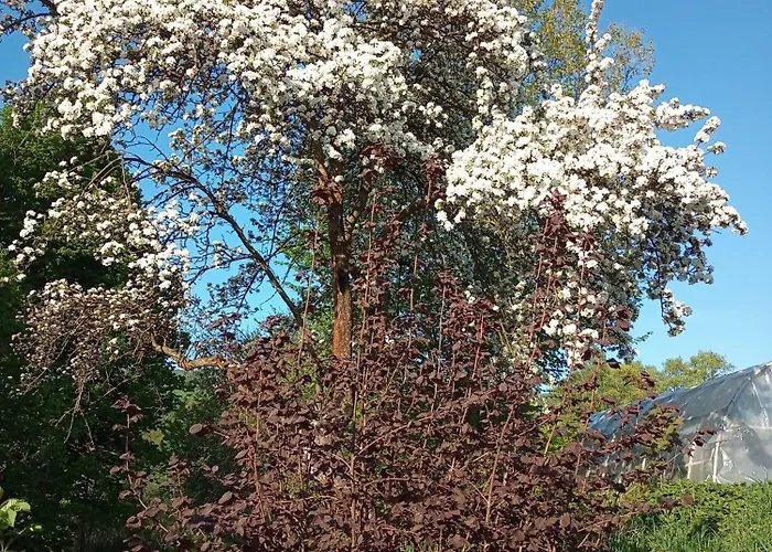 Hortensjowe Zacisze *