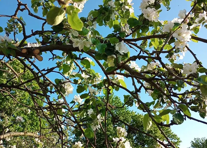 Appartamento Hortensjowe Zacisze Woliborz