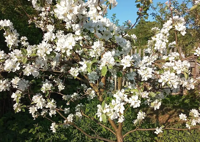 Appartamento Hortensjowe Zacisze Woliborz